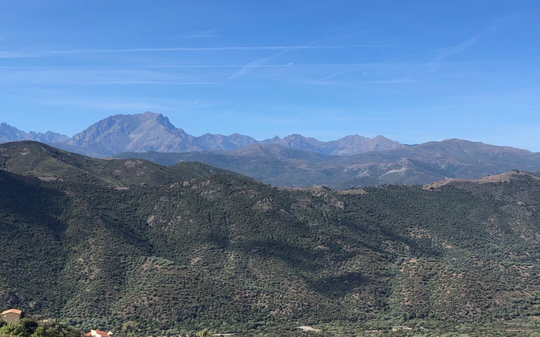 Was soll der kleine Kommentar?