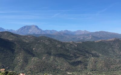 Was soll der kleine Kommentar?